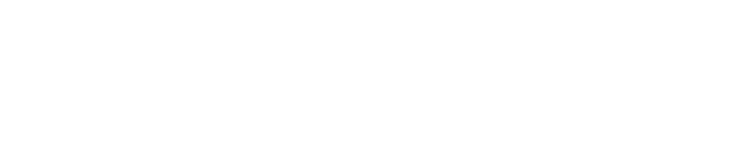 Company Microsite